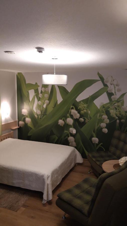 Hotel Viesu Nams Zala Sala Litavniki Esterno foto