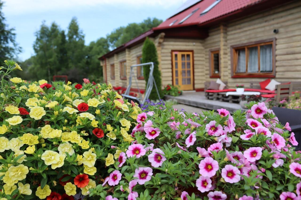 Hotel Viesu Nams Zala Sala Litavniki Esterno foto
